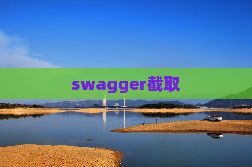 swagger截取